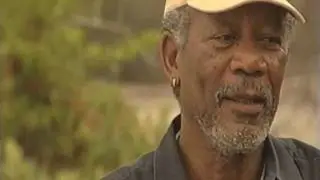 Michael Husain | Morgan Freeman The Rainbow | Good Vibes Media