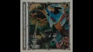 Protest The Hero - Dunsel - Lyrics Video