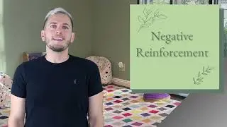 BCBA Task List 5: B 4 - Positive and negative reinforcement contingencies.