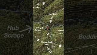 Using  thermals to kill public land whitetails #saddlehunting  #outdoors #hunting #publicland