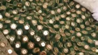Eid collection For You