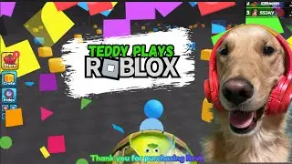 Teddy Plays Roblox - Take Game Edition #roblox