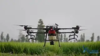 Alpha Drones Agriculture Video