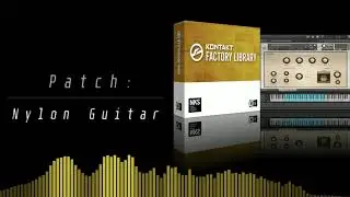 Pok&eacute;mon Instruments: Nylon Guitar | Kontakt Factory Library
