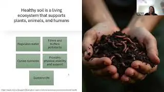 The Role of the Food System in Climate Change Mitigation