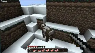 How not to play minecraft PO Slovensko EP1!- poor animals xD