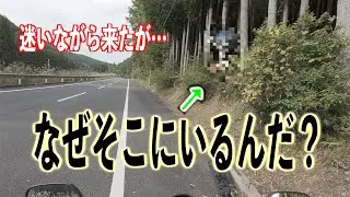 なぜそこにいるんだ？【CBR400R】