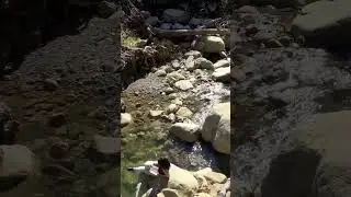 Wheeler Gorge campsite, a hidden gem in Ojai California #camping #campsite #campsites #ojai #hiking