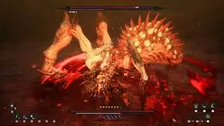 The First Berserker  Khazan Aratra boss no damage