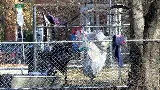 Emergency shelters open as cold weather increases need for homeless services in Augusta