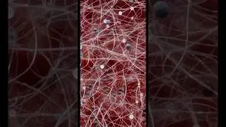 Как плесень захватывает мир? Микромир в деталях!