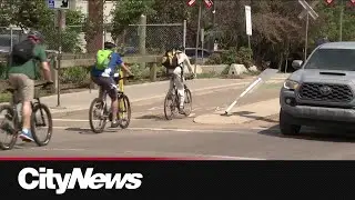 Bike lane uses grew in Edmonton