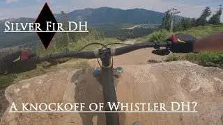 Silver Fir DH, Washington's version of Whistler DH!