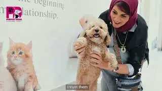Perfect Dose Veterinary Clinic - HESSA ST.