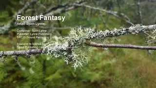 Forest Fantasy - Bjorn Lynne (Lynne Publishing)