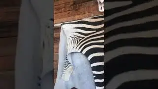 Nature&rsquo;s Fingerprint