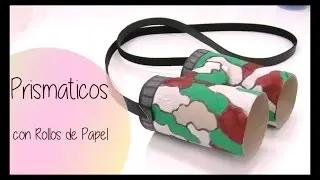Manualidades - Prismaticos con rollos de papel higienico