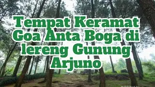Tempat Keramat Goa Anta Boga di Lereng Gunung Arjuno #indonesia #tempatkeramat