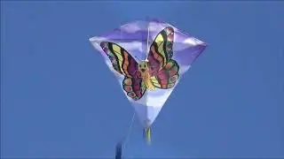 WindNSun Mini Diamond Nylon Easy Flyer Kite Assortment