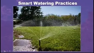 Smart Watering Practices Webinar