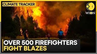 Argentina Wildfires: Massive Wildfires Scorch Patagonia, 15,00 Hectares Burnt | WION Climate Tracker
