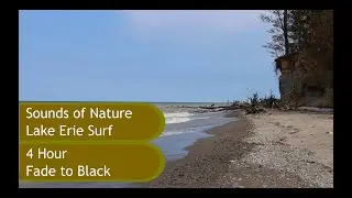 Relaxing Nature Sounds   Lake Erie Beach   white noise, ambience, atmosphere 4hr
