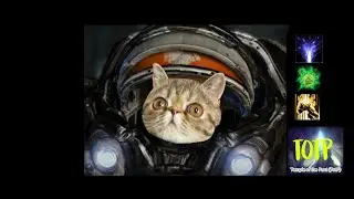 #141: Temple of Rebirth - Raynor Solo (p1) [Starcraft 2 Co-op Mutation]
