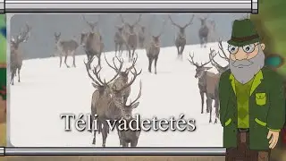 Erdő Ernő bácsi meséi - Mit esznek télen az erdei állatok?