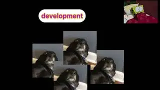 activity 4