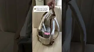 Can the Lovevook Backpack fit a Stanley Cup?
