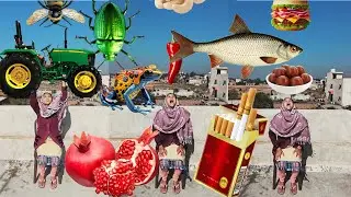 Eating - Ant,frog,Cockroach,burger,fruits,chilli,tractor yellow lizard,poti,fish |Vfxkirani is LIVE🔴