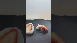 mini pig eats #shorts