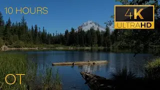 Beautiful Mountain Lake Wilderness | Soothing Lakeside Ambience | 10 HOURS | Outdoor Therapy