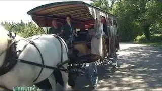 L'infiltr&eacute;e du Dimanche : Balade en cal&egrave;che &agrave; l'Arche de la Nature - Le Mans