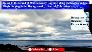 Cornish Beach Cornwall | Ocean and Birdsong 1hr Long Nature Sounds for Relaxation, Sleep and Calm