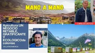 La Apicultura mas rentable, ecologica, anti estres y gratifucante . IMPERDIBLE