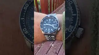 Watch number one seiko skx173