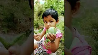 Aam boro payara kancha lonka chara #shortvideo #share #subscribe #kancha lanka#shorts