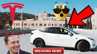 Driving My Dream Car For The First Time + My Experience With The Tesla Model Y