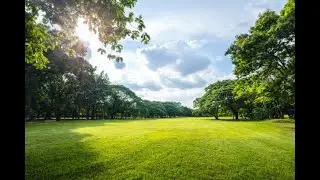 THIS IS BRUCE CASTLE PARK