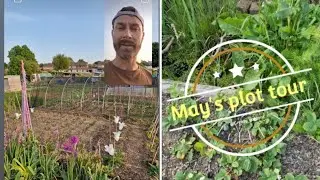 May's Plot tour!  