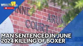Man sentenced in killing of promising boxer