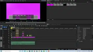 Edius new project Lehnga Lay de Mehnga 2020 edit by ok studio