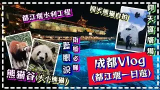 成都Vlog(都江堰包車一日遊) ~ 熊貓谷/南橋藍眼淚/仰天窩廣場自拍大熊貓/都江堰水利工程/鍾書閣