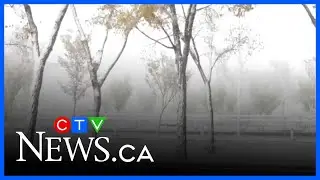 Winter storm hits southern Sask.; roads monitored for safety
