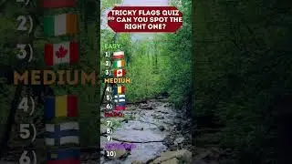 Tricky Flags Quiz 🎌 Can You Spot the Right One?