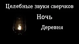 Звуки сверчков ночью в деревне для расслабления и здорового сна | Сверчки для сна | Сверчки звук