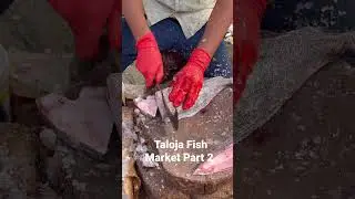 Taloja Fish Market #shorts #trending #cooking #fish #fishmarket
