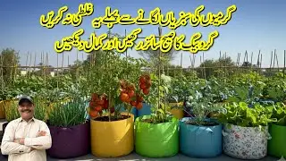 What is Perfect Grow Bag Size for Spring Vegetables in Kitchen Garden|Garmiyo Ki sabziya Kaise lagai