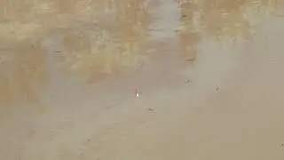 Mancing ikan lele di kolam 7. Jln tenke yusuf 1. Kalok mau lebih lengkap jln nya komen aja ok👌🙏